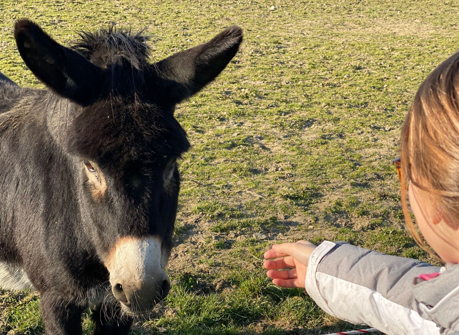 Kinder entdecken die ökologische Landwirtschaft Kinder entdecken die ökologische Landwirtschaft